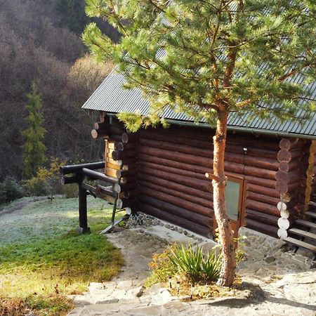 Bungalow In Mauntains With Chan Near The Forest Slavsko Exterior foto